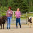 Miniature Horse Program