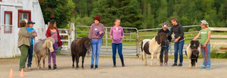 Miniature Horse Program